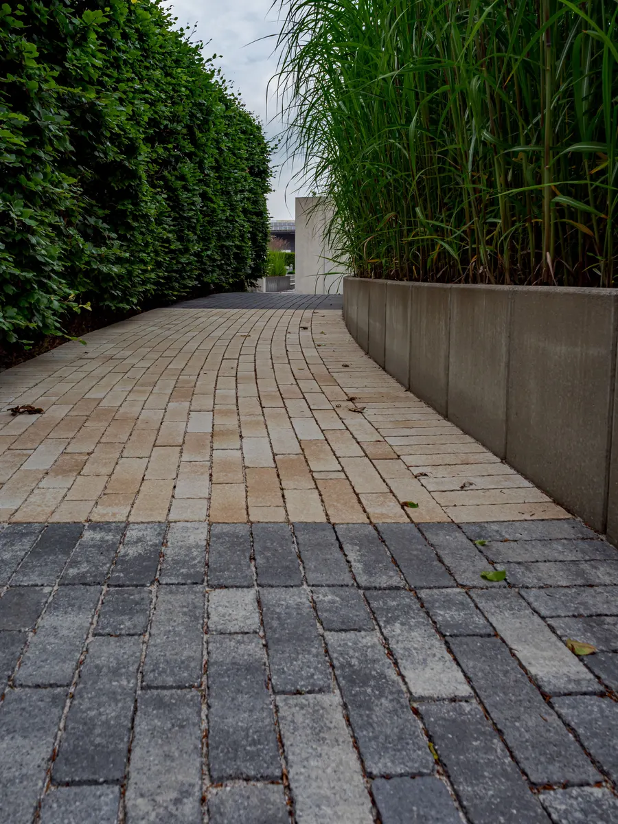 A paver walkway running between a clipped hedge and a concrete planter