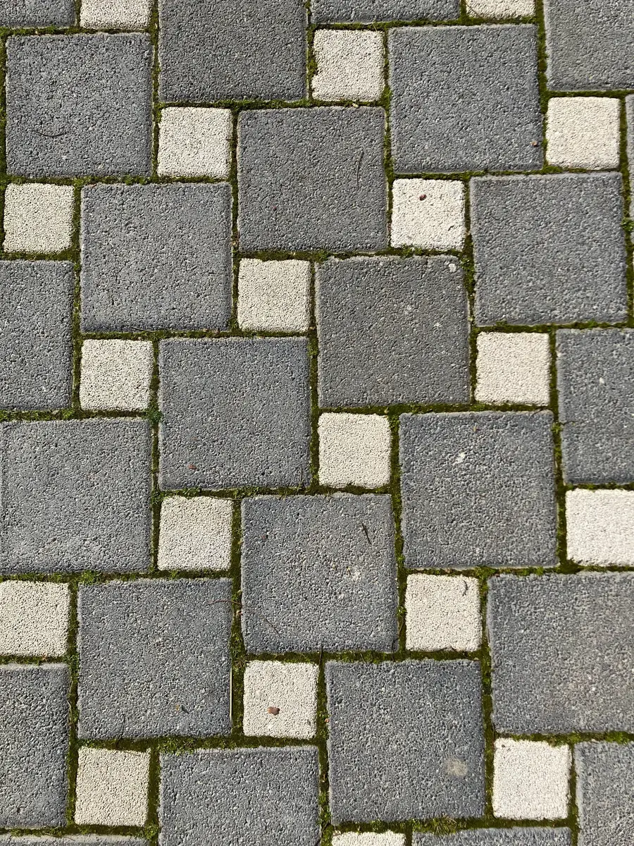 A patterned paver patio with moss holding in the joints
