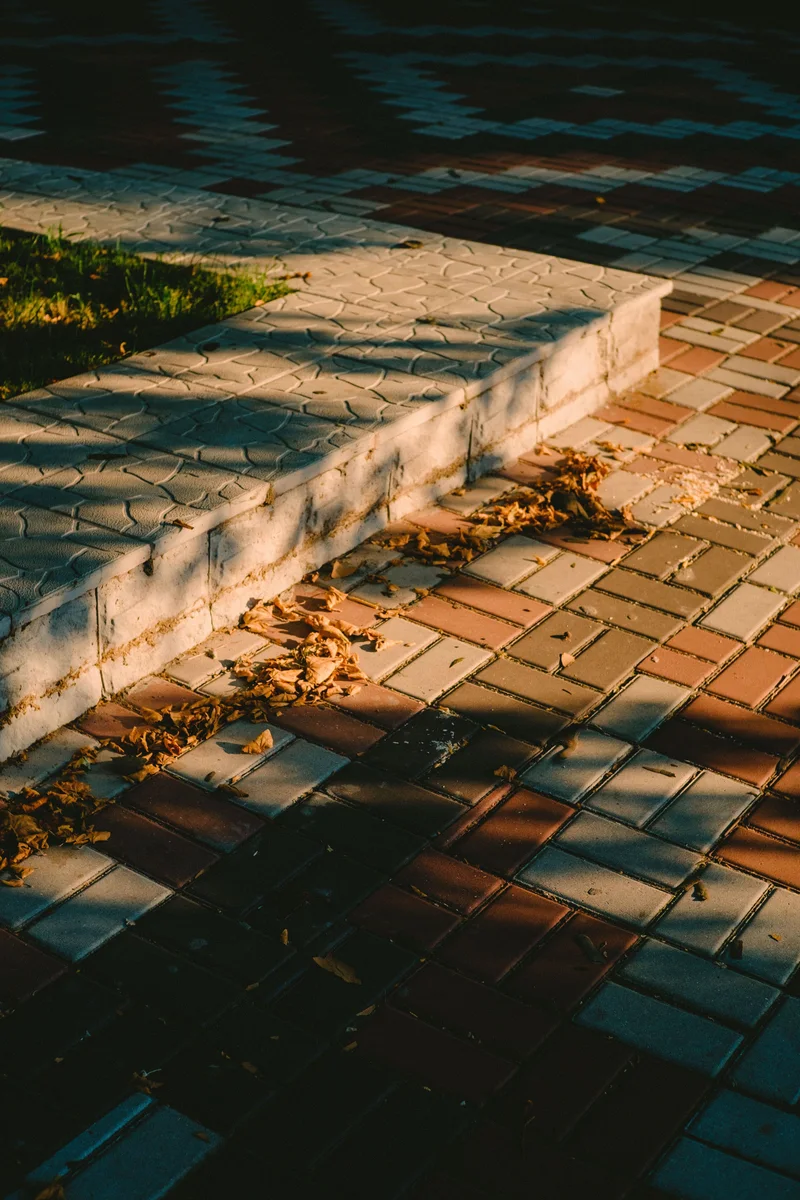 A low step rising from a mixed colour paver surface with leaves gathered along its riser